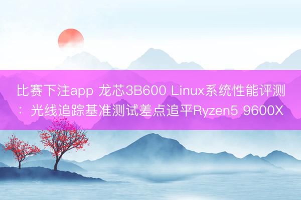 比赛下注app 龙芯3B600 Linux系统性能评测：光线追踪基准测试差点追平Ryzen5 9600X