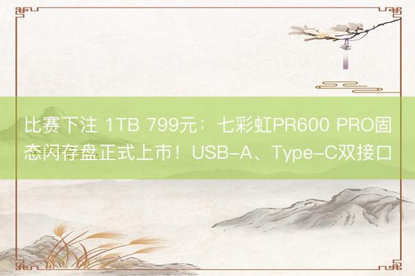 比赛下注 1TB 799元：七彩虹PR600 PRO固态闪存盘正式上市！USB-A、Type-C双接口