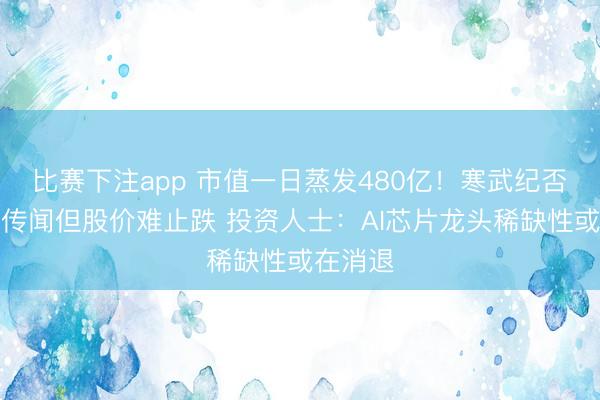 比赛下注app 市值一日蒸发480亿！寒武纪否认市场传闻但股价难止跌 投资人士：AI芯片龙头稀缺性或在消退