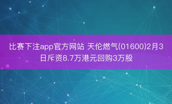 比赛下注app官方网站 天伦燃气(01600)2月3日斥资8.7万港元回购3万股