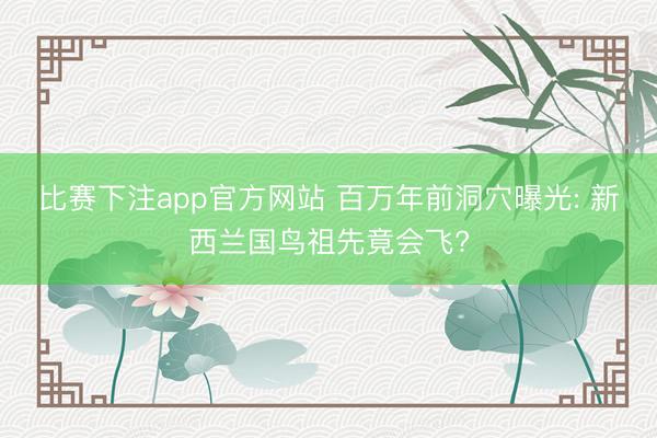比赛下注app官方网站 百万年前洞穴曝光: 新西兰国鸟祖先竟会飞?
