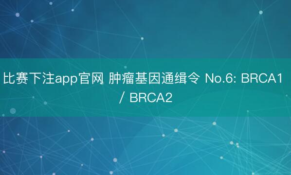 比赛下注app官网 肿瘤基因通缉令 No.6: BRCA1 / BRCA2