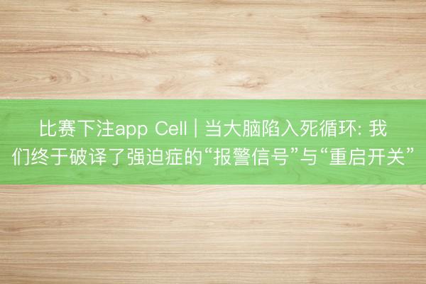 比赛下注app Cell | 当大脑陷入死循环: 我们终于破译了强迫症的“报警信号”与“重启开关”