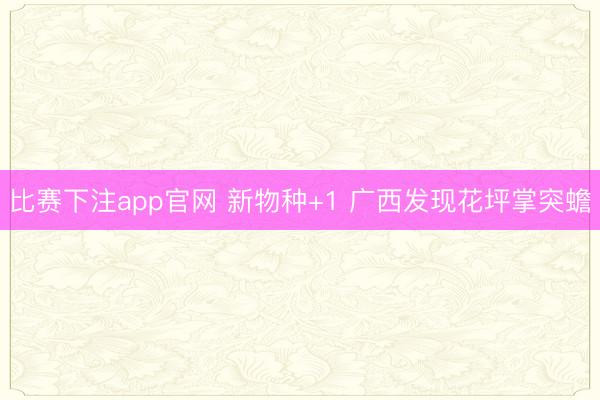比赛下注app官网 新物种+1 广西发现花坪掌突蟾