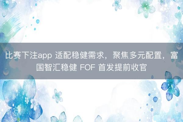 比赛下注app 适配稳健需求，聚焦多元配置，富国智汇稳健 FOF 首发提前收官