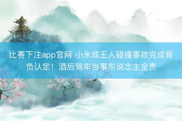 比赛下注app官网 小米成王人碰撞事故完成背负认定！酒后驾车当事东说念主全责