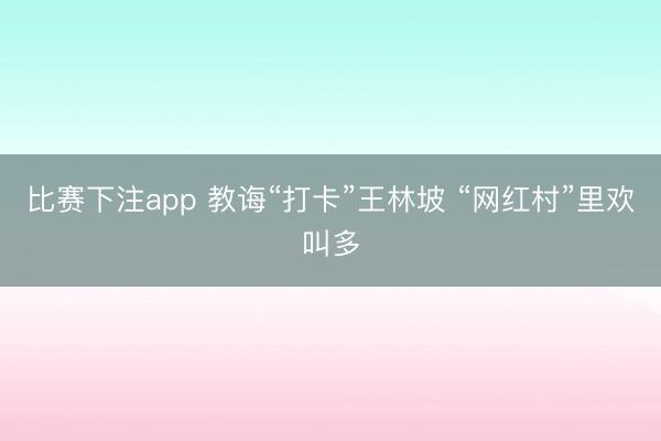 比赛下注app 教诲“打卡”王林坡 “网红村”里欢叫多