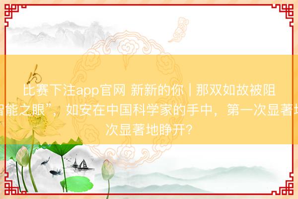 比赛下注app官网 新新的你 | 那双如故被阻塞的“智能之眼”，如安在中国科学家的手中，第一次显著地睁开？