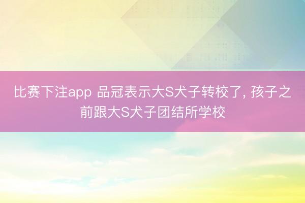 比赛下注app 品冠表示大S犬子转校了, 孩子之前跟大S犬子团结所学校