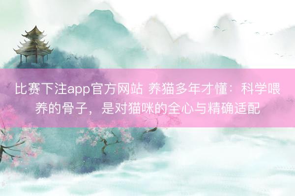 比赛下注app官方网站 养猫多年才懂：科学喂养的骨子，是对猫咪的全心与精确适配