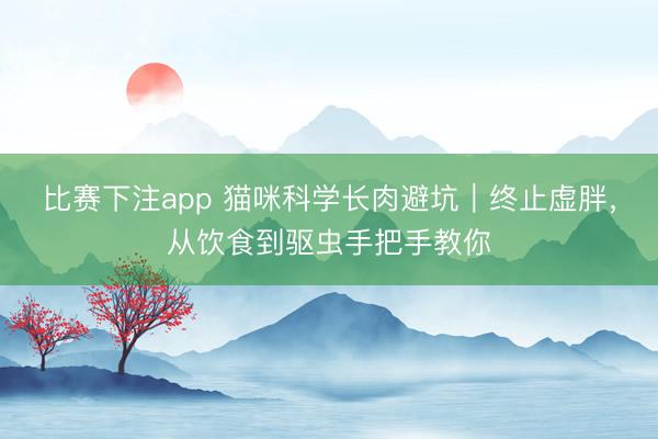 比赛下注app 猫咪科学长肉避坑｜终止虚胖，从饮食到驱虫手把手教你