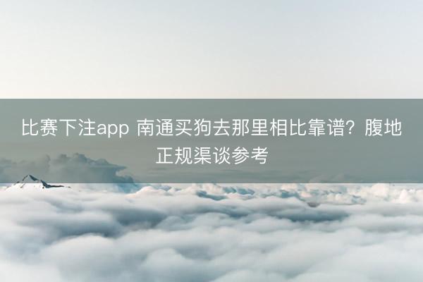 比赛下注app 南通买狗去那里相比靠谱?腹地正规渠谈参考