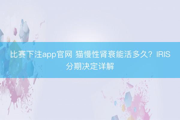 比赛下注app官网 猫慢性肾衰能活多久？IRIS分期决定详解