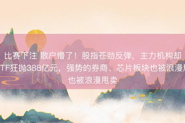 比赛下注 散户懵了!股指苍劲反弹,主力机构却借ETF狂抛388亿元,强势的券商、芯片板块也被浪漫甩卖