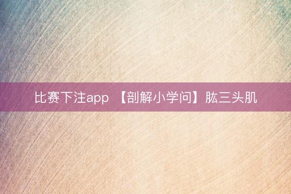 比赛下注app 【剖解小学问】肱三头肌
