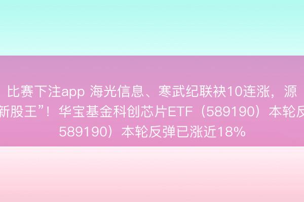 比赛下注app 海光信息、寒武纪联袂10连涨，源杰科技成A股“新股王”！华宝基金科创芯片ETF（589190）本轮反弹已涨近18%