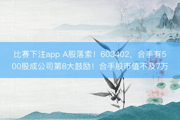 比赛下注app A股落索！603402，合手有500股成公司第8大鼓励！合手股市值不及7万