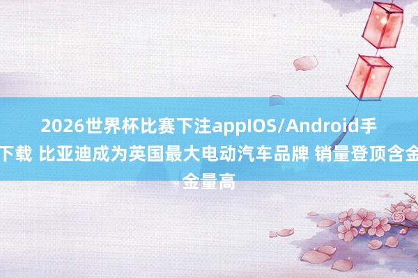 2026世界杯比赛下注appIOS/Android手机版下载 比亚迪成为英国最大电动汽车品牌 销量登顶含金量高