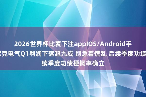 2026世界杯比赛下注appIOS/Android手机版下载 莱克电气Q1利润下落超九成 别急着慌乱 后续季度功绩梗概率确立