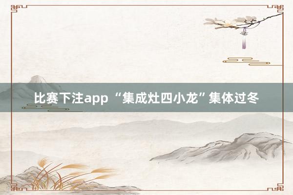 比赛下注app “集成灶四小龙”集体过冬
