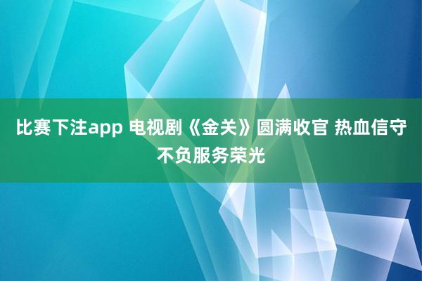 比赛下注app 电视剧《金关》圆满收官 热血信守不负服务荣光
