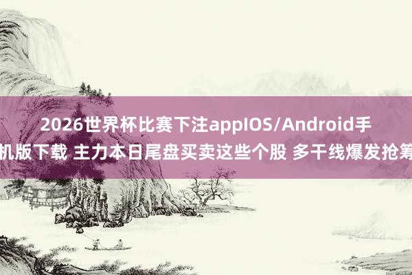 2026世界杯比赛下注appIOS/Android手机版下载 主力本日尾盘买卖这些个股 多干线爆发抢筹
