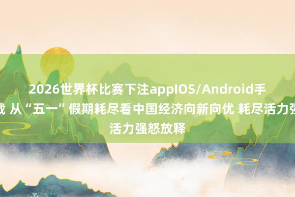 2026世界杯比赛下注appIOS/Android手机版下载 从“五一”假期耗尽看中国经济向新向优 耗尽活力强怒放释