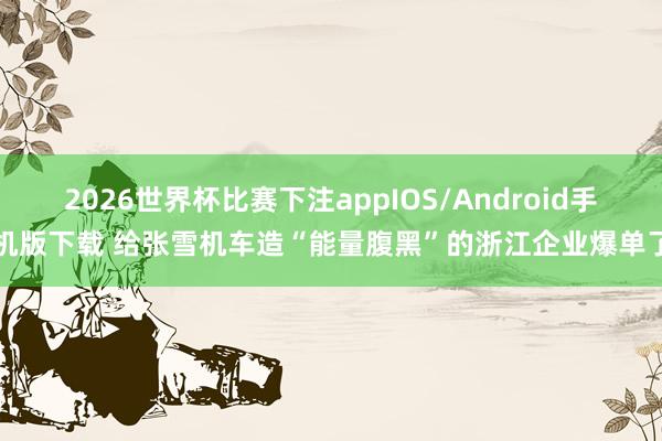 2026世界杯比赛下注appIOS/Android手机版下载 给张雪机车造“能量腹黑”的浙江企业爆单了