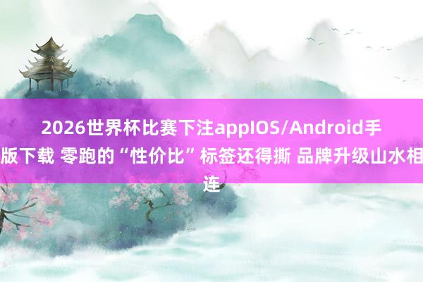 2026世界杯比赛下注appIOS/Android手机版下载 零跑的“性价比”标签还得撕 品牌升级山水相连