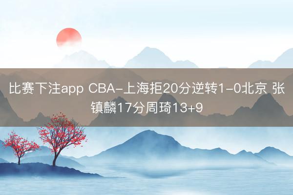 比赛下注app CBA-上海拒20分逆转1-0北京 张镇麟17分周琦13+9
