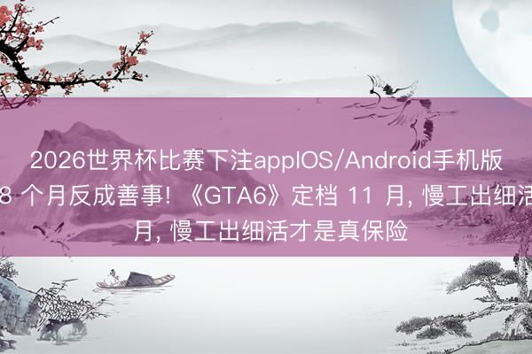 2026世界杯比赛下注appIOS/Android手机版下载 延期 18 个月反成善事! 《GTA6》定档 11 月， 慢工出细活才是真保险