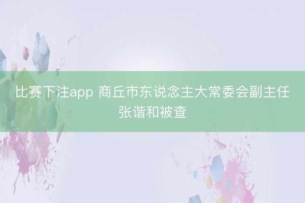 比赛下注app 商丘市东说念主大常委会副主任张谐和被查