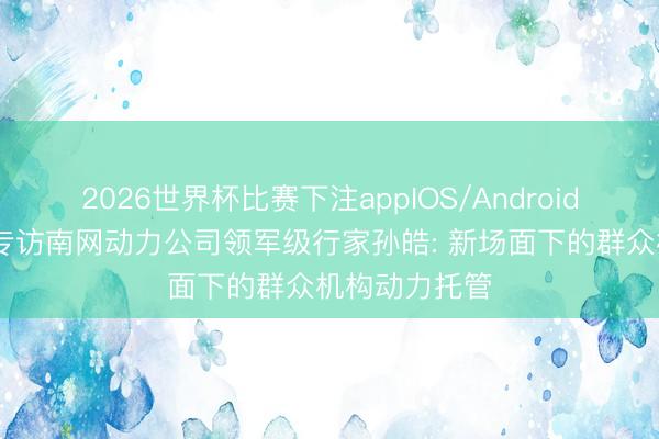 2026世界杯比赛下注appIOS/Android手机版下载 专访南网动力公司领军级行家孙皓: 新场面下的群众机构动力托管