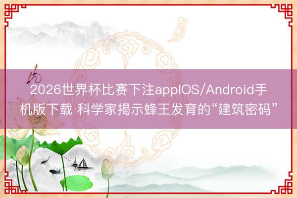 2026世界杯比赛下注appIOS/Android手机版下载 科学家揭示蜂王发育的“建筑密码”