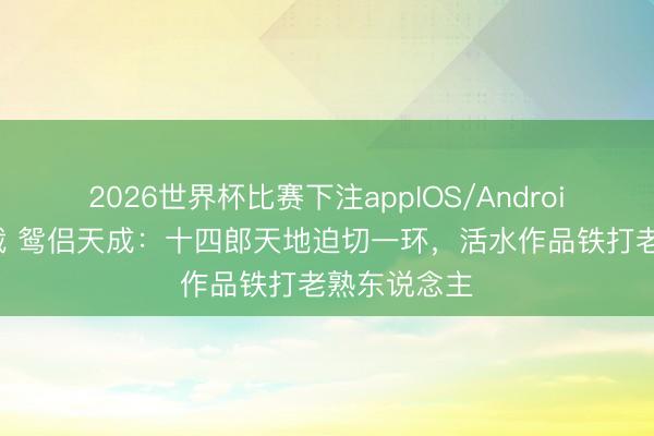 2026世界杯比赛下注appIOS/Android手机版下载 鸳侣天成：十四郎天地迫切一环，活水作品铁打老熟东说念主