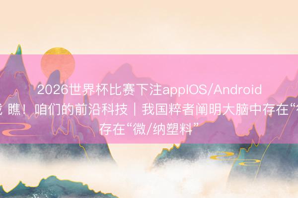 2026世界杯比赛下注appIOS/Android手机版下载 瞧！咱们的前沿科技｜我国粹者阐明大脑中存在“微/纳塑料”