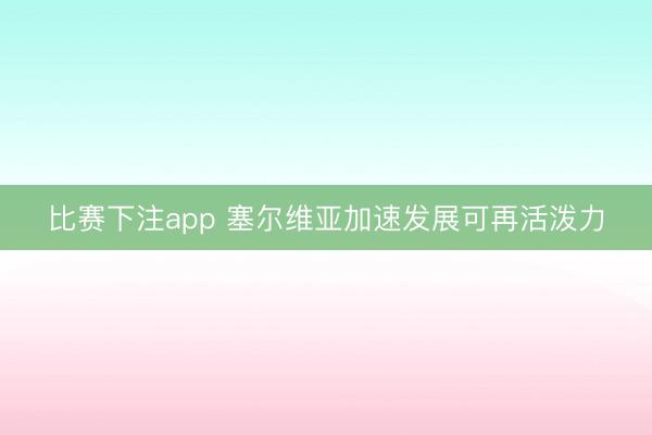 比赛下注app 塞尔维亚加速发展可再活泼力