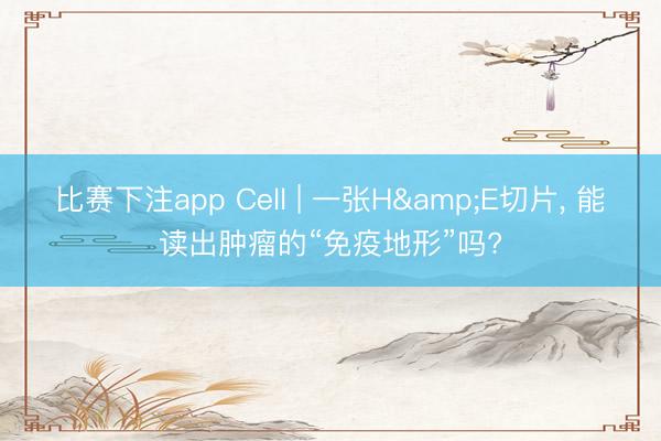 比赛下注app Cell | 一张H&E切片， 能读出肿瘤的“免疫地形”吗?